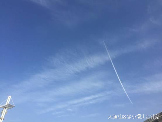 欧世蒙牛见证之旅 第一次让我对国产奶粉有了信心<strong></p>
<p>欧世蒙牛</strong>！