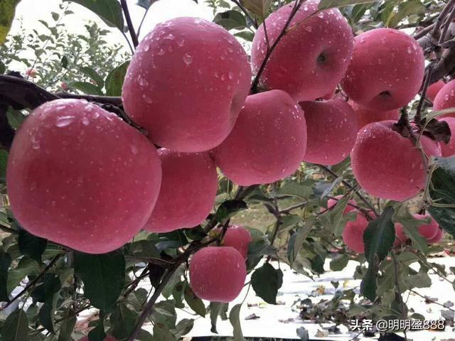 几乎每年都分红的上市公司有哪些<strong></p>
<p>长江电力股份有限公司</strong>？