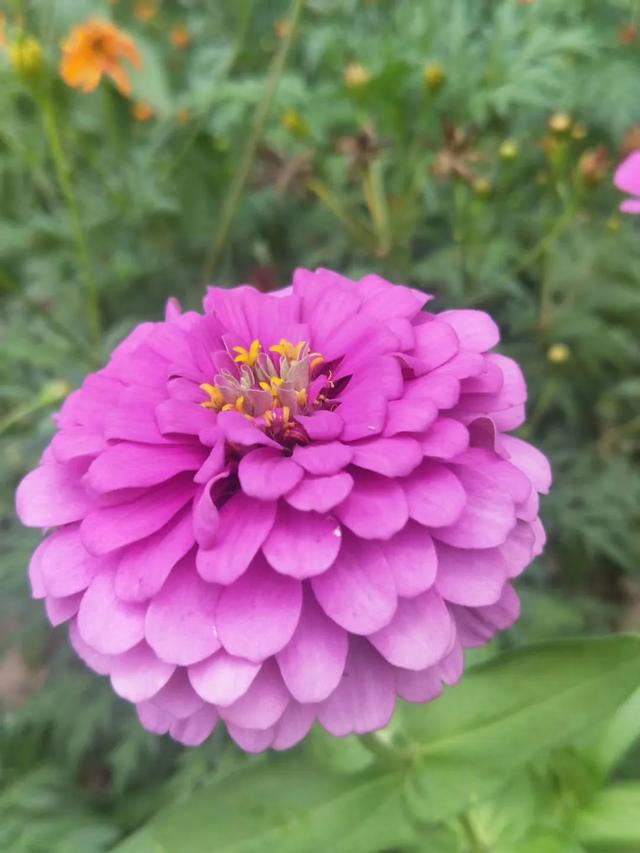 人生<strong></p>
<p>感知集团</strong>，你看透了什么？