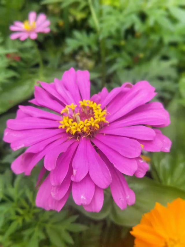 人生<strong></p>
<p>感知集团</strong>，你看透了什么？