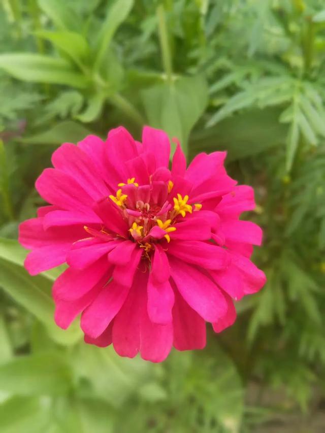 人生<strong></p>
<p>感知集团</strong>，你看透了什么？