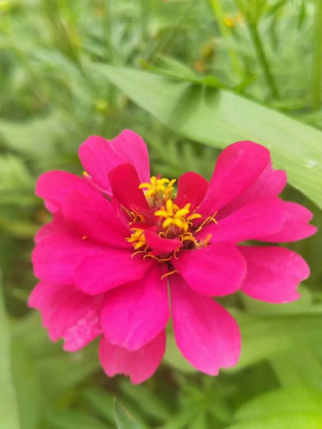 人生<strong></p>
<p>感知集团</strong>，你看透了什么？