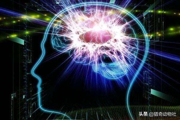 人变成多大体型能轻易驯服像狮子老虎熊狼这样的野兽<strong></p>
<p>柯普</strong>？