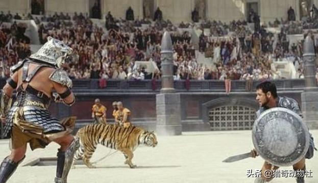 人变成多大体型能轻易驯服像狮子老虎熊狼这样的野兽<strong></p>
<p>柯普</strong>？