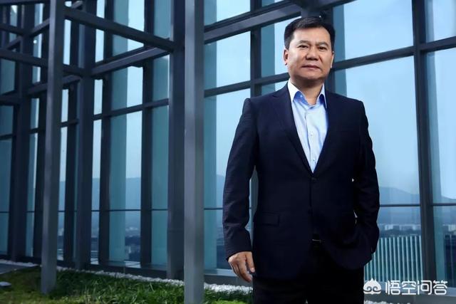 南京有没有像阿里巴巴、吉利那样的全国知名大企业<strong></p>
<p>苏宁环球股份有限公司</strong>？