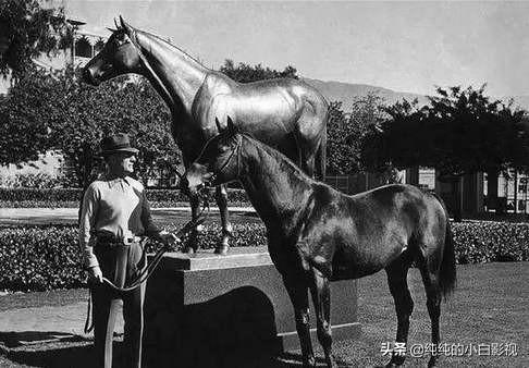 关于白手起家的电影或电视剧有何推荐<strong></p>
<p>无穷大公司</strong>,求简介?