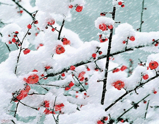 冬天下雪了，根据这幅图，你能作一首诗吗？