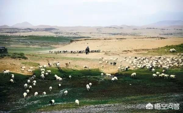 在动物园打不到猎是什么感受<strong></p>
<p>东方国际狩猎场</strong>？