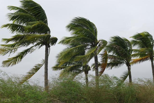 现在食盐为什么涨价了<strong></p>
<p>广东盐业</strong>？