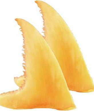 做一道佛跳墙<strong></p>
<p>吉品易购</strong>，买材料得多少钱？