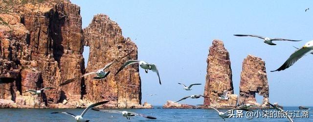 如果让你当导游介绍山东<strong></p>
<p>清沂山石化</strong>，你会介绍什么？