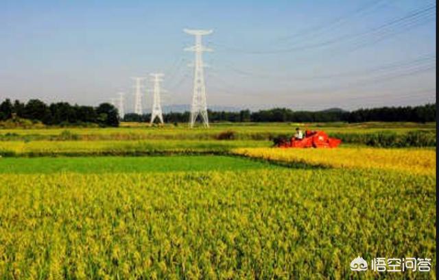 农村土地承包再延迟三十年不动没有土地的农民怎么解决<strong></p>
<p>种房</strong>？