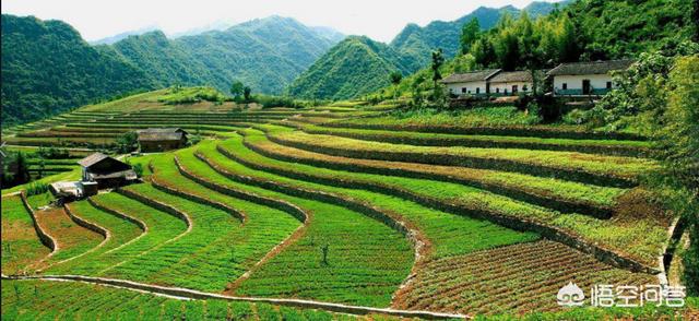 农村土地承包再延迟三十年不动没有土地的农民怎么解决<strong></p>
<p>种房</strong>？