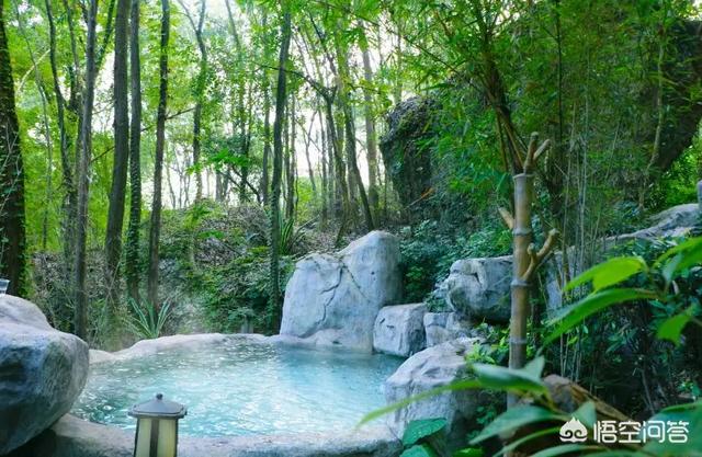 河源地区有比较好的温泉酒店吗<strong></p>
<p>河源华夏养生园事件</strong>?