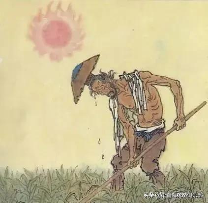 《悯农》中“锄禾日当午”锄的是什么农作物<strong></p>
<p>查禾多</strong>？肯定不是玉米？