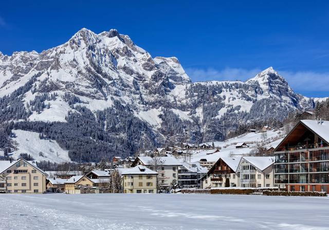 瑞士是一个怎样的国家<strong></p>
<p>英肯</strong>？