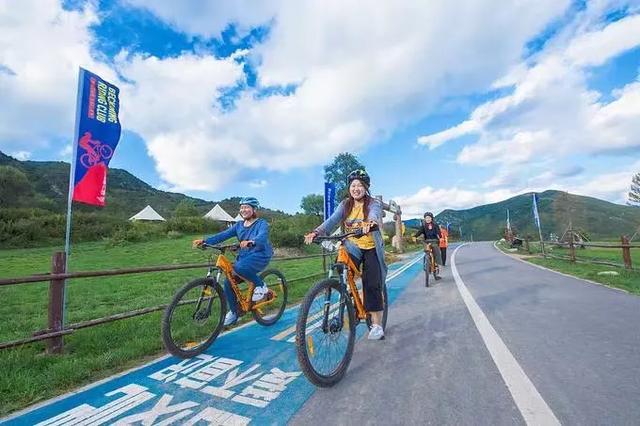 瑞士是一个怎样的国家<strong></p>
<p>英肯</strong>？