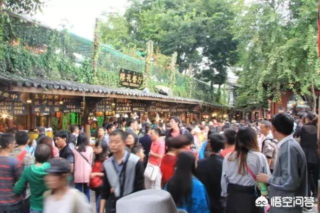 郑州航空港农业公园要门票吗<strong></p>
<p>河南省农业综合开发公司</strong>？