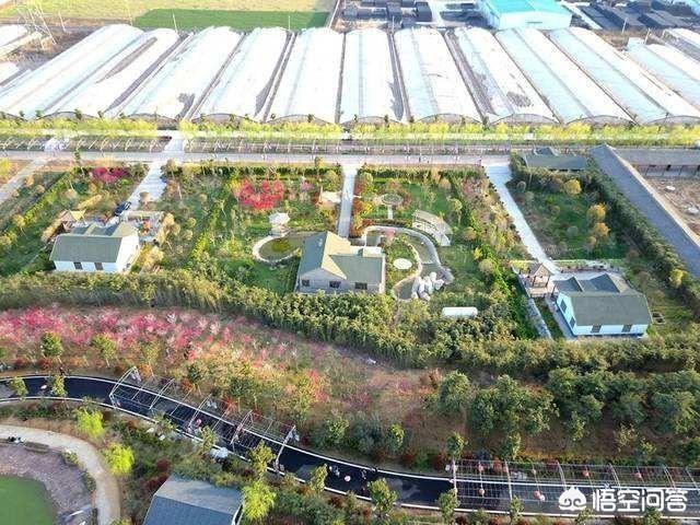 郑州航空港农业公园要门票吗<strong></p>
<p>河南省农业综合开发公司</strong>？