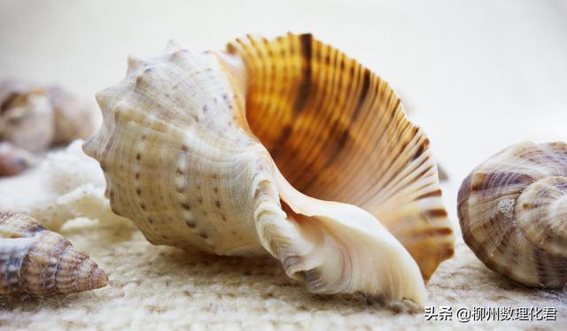 请问赵礼显和邱崇两位老师的网课谁的好<strong></p>
<p>何宪恕</strong>，或者其他数学老师，现在时间不多了，请问谁的效果显著一点？