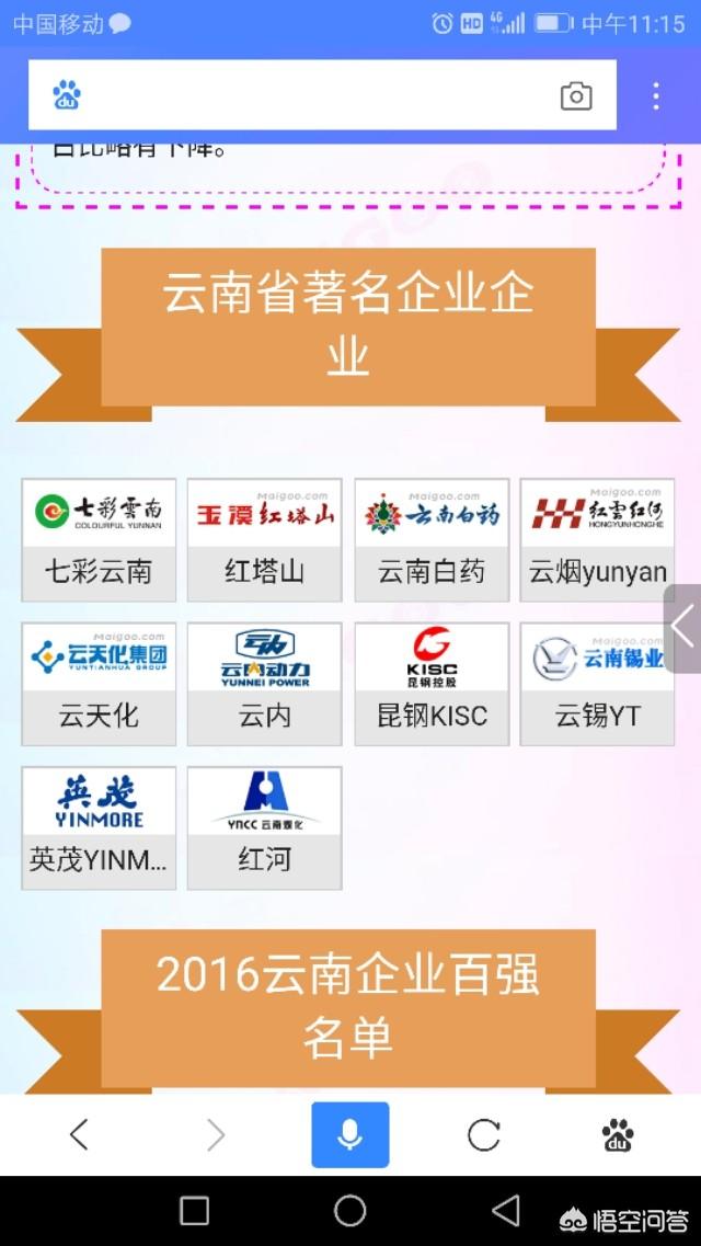 云南<strong></p>
<p>云南城投置业股份有限公司</strong>，有哪些知名的大企业？