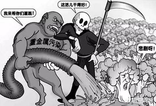 女人有青胎记是什么原因<strong></p>
<p>青姑娘</strong>？