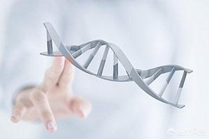 女人有青胎记是什么原因<strong></p>
<p>青姑娘</strong>？