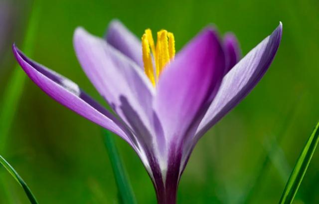 能否分享一些温柔暖心的美好句子<strong></p>
<p>千城度</strong>？