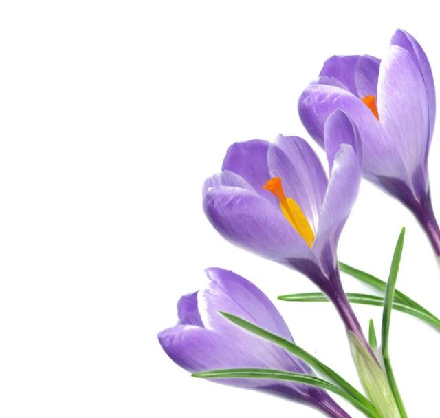 能否分享一些温柔暖心的美好句子<strong></p>
<p>千城度</strong>？