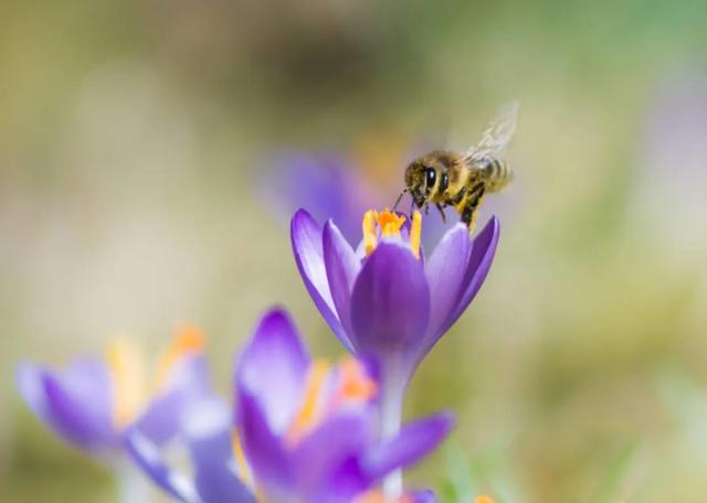 能否分享一些温柔暖心的美好句子<strong></p>
<p>千城度</strong>？