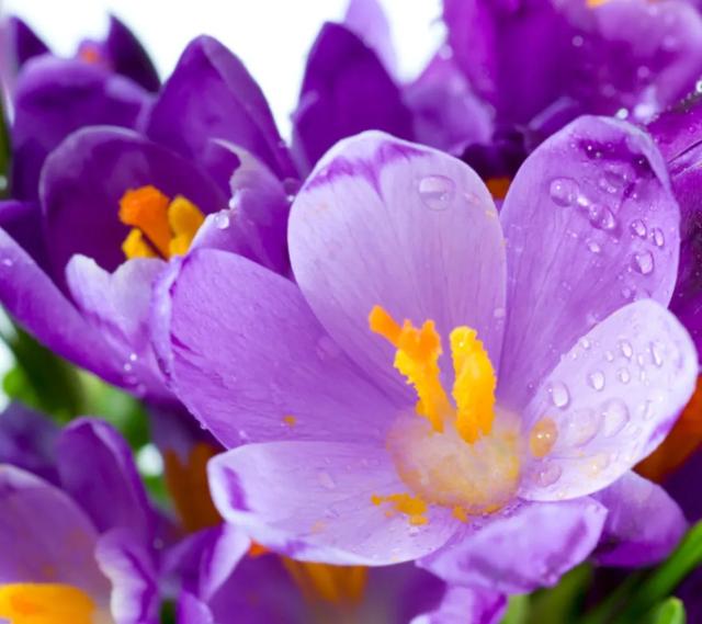 能否分享一些温柔暖心的美好句子<strong></p>
<p>千城度</strong>？