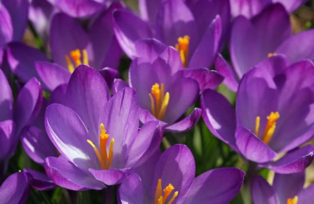 能否分享一些温柔暖心的美好句子<strong></p>
<p>千城度</strong>？