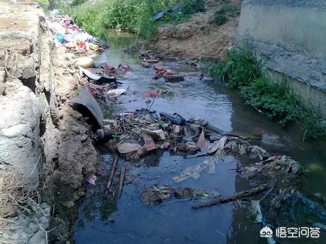 营口揪出污染“元凶”<strong></p>
<p>嘉晨集团</strong>，地表水环境恢复常态, 你怎么看？