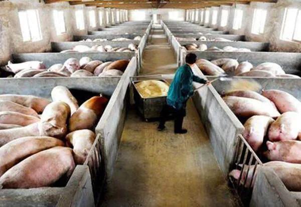 为什么说北京一盘鱼香肉丝的定价权在高盛集团手里<strong></p>
<p>高盛集团</strong>?