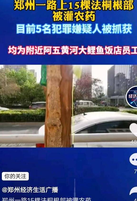 郑州“阿五黄河大鲤鱼”门店毁坏绿树为哪般？
