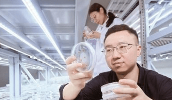 遍地英才看湖南 | 胡博文:“有滋有味”的育种路