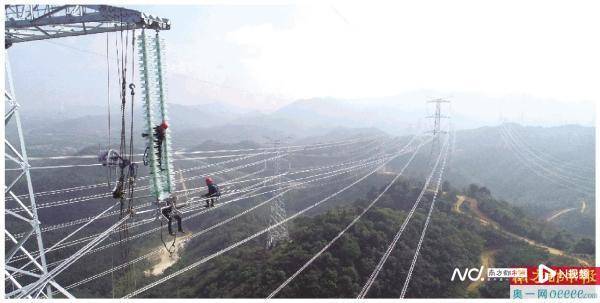 惠州供电局：全力推进电网建设 推动能源绿色转型