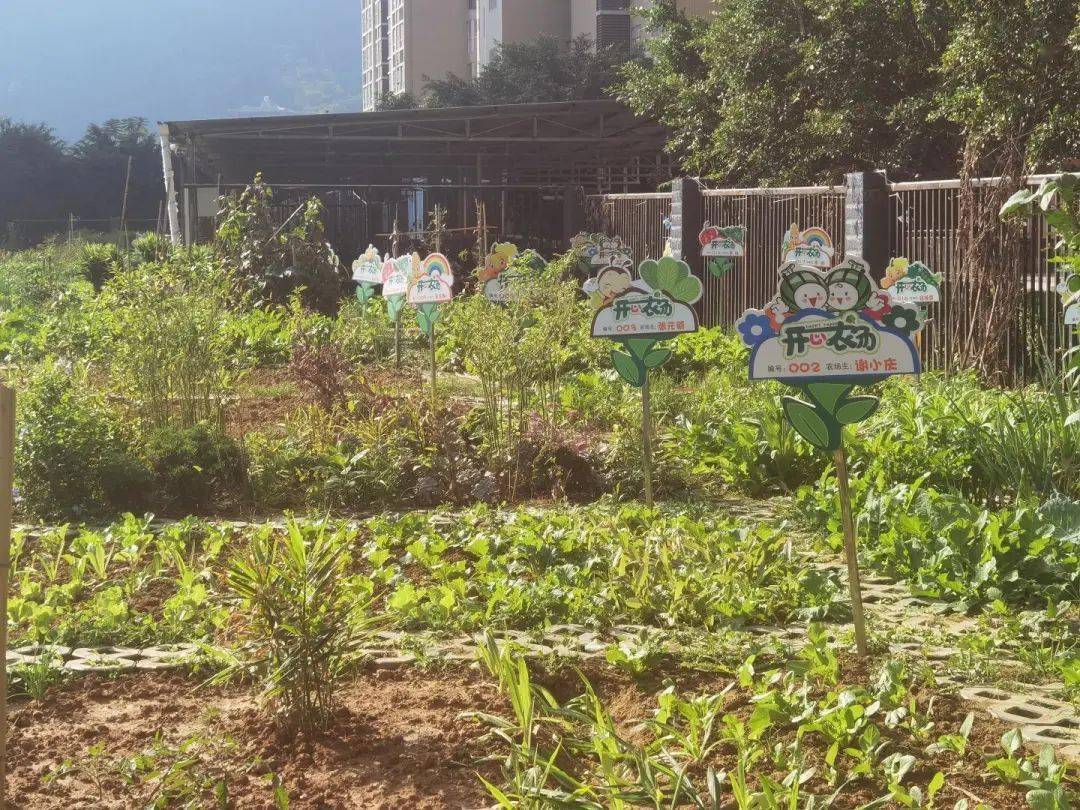 留住“乡愁”！恒德社区“开心农场” 有摊位啦<strong></p>
<p>开心农夫</strong>，“都市农夫”现采鲜卖