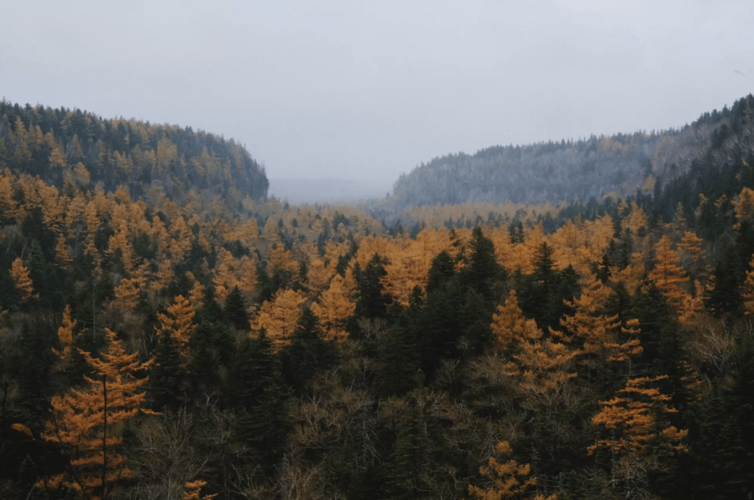 长白山，秋天再相见