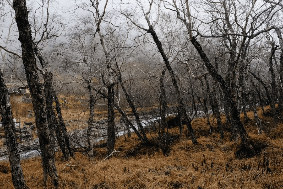 长白山，秋天再相见