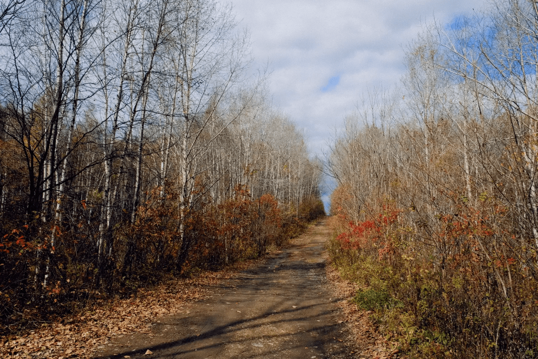 长白山，秋天再相见