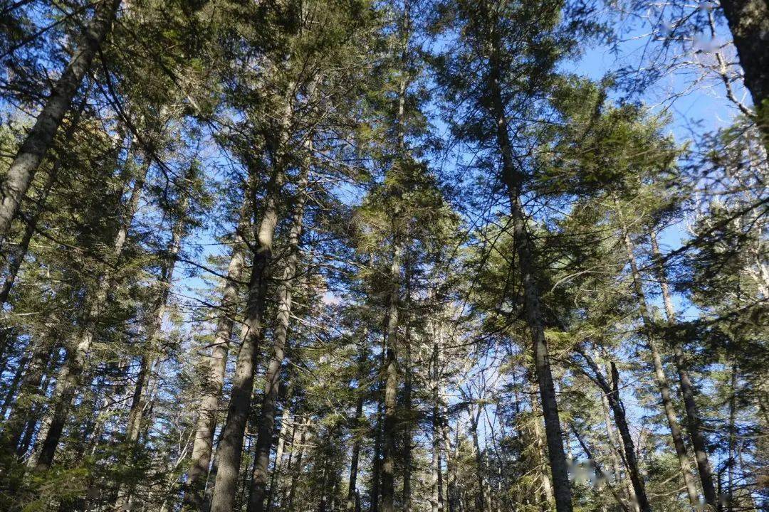 长白山，秋天再相见