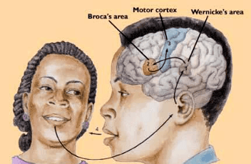 “臣妾做不到啊”，读这句话的时候，脑子里为什么有“声音”？