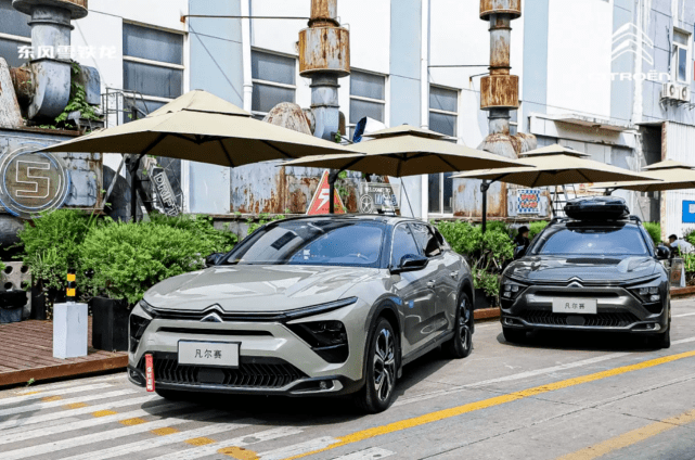 唱衰的冷水，浇不灭神龙的热火朝天