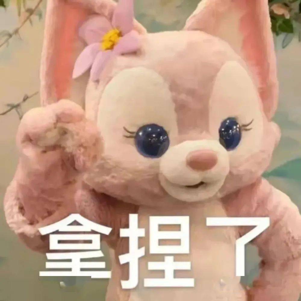 不出国没必要考雅思？NO！雅思的N种用途你不知道？