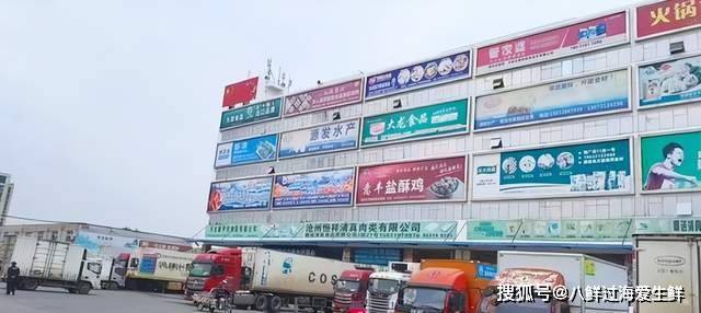 加拿大北极虾批发市场广告牌:第十六弹石家庄海洋冷库批发市场!