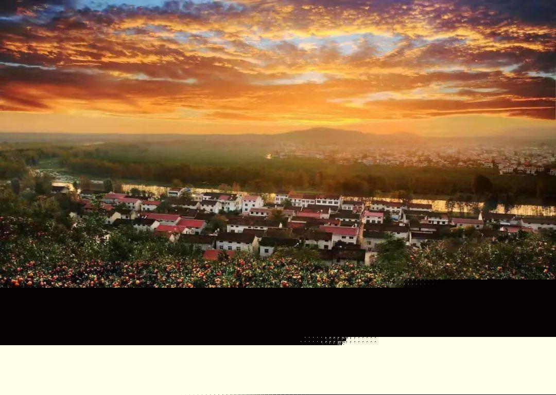 我的家乡，桔子红了