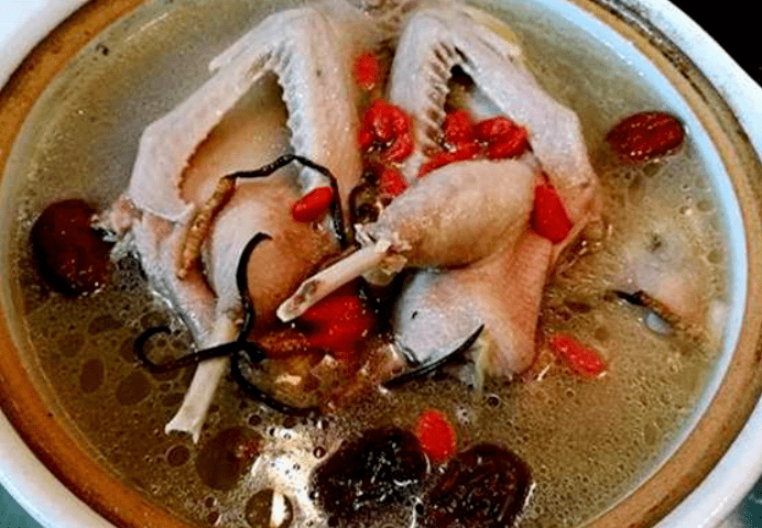 冬虫夏草，为何被欧洲人称为“东方神草”