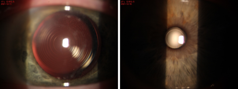 1641257968587251.png image.png