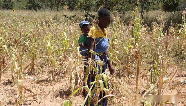 津巴布韦又出新币，面额达10的303次方，击败天地银行？